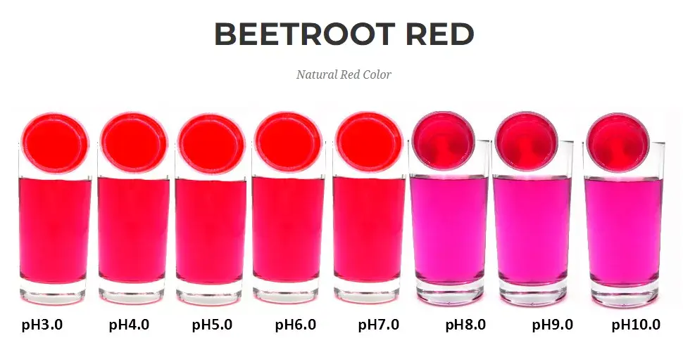 best beet root powder supplier Yangge Biotech best beet root powder supplier Yangge Biotech