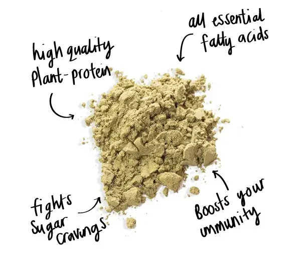 bulk-organic-hemp-protein-powder.webp