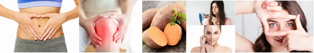 sweet potato protein powder supplier Yangge Biotech sweet potato protein powder supplier Yangge Biotech