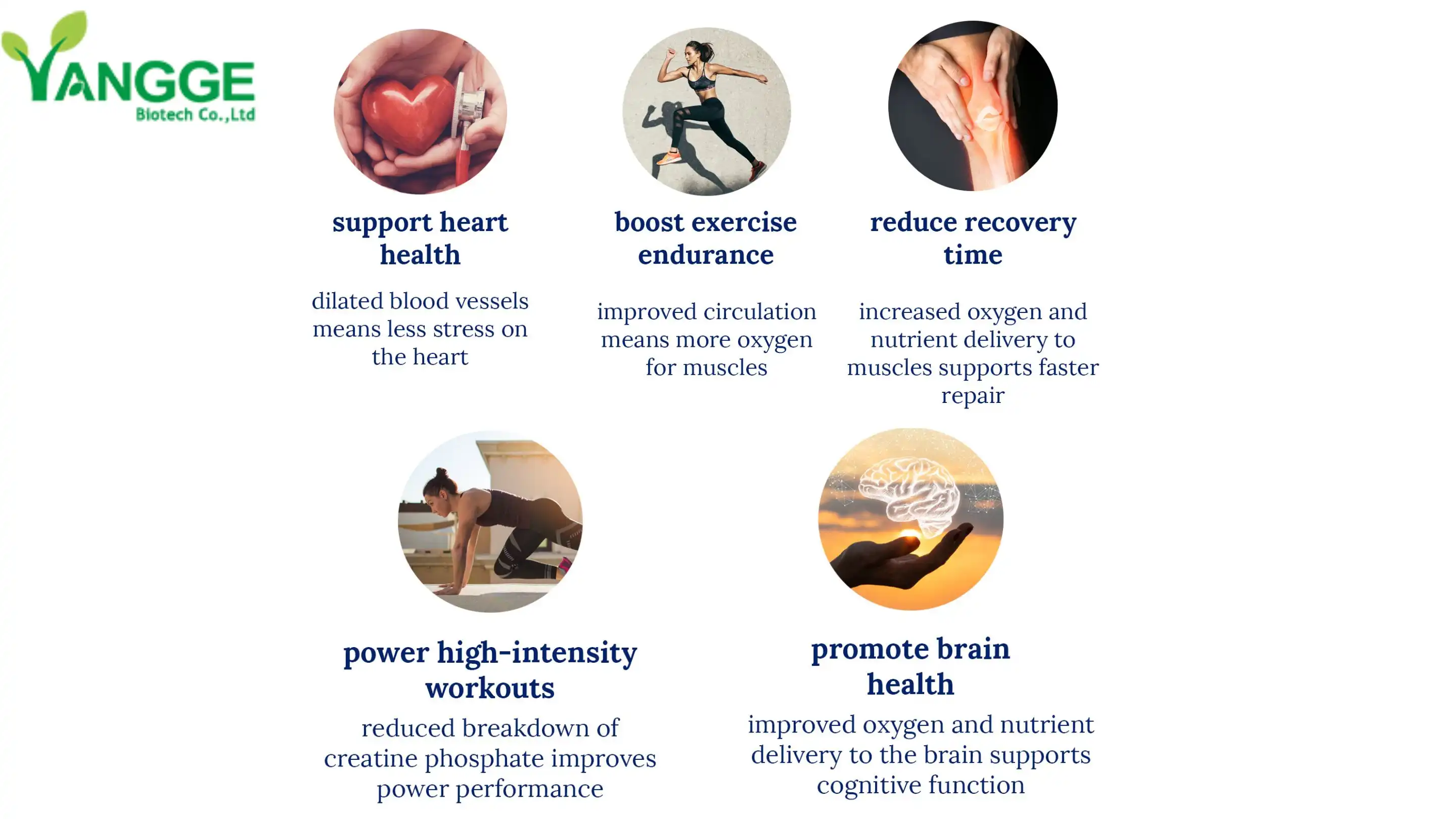 Cuir ceannteideal (4).jpg leis