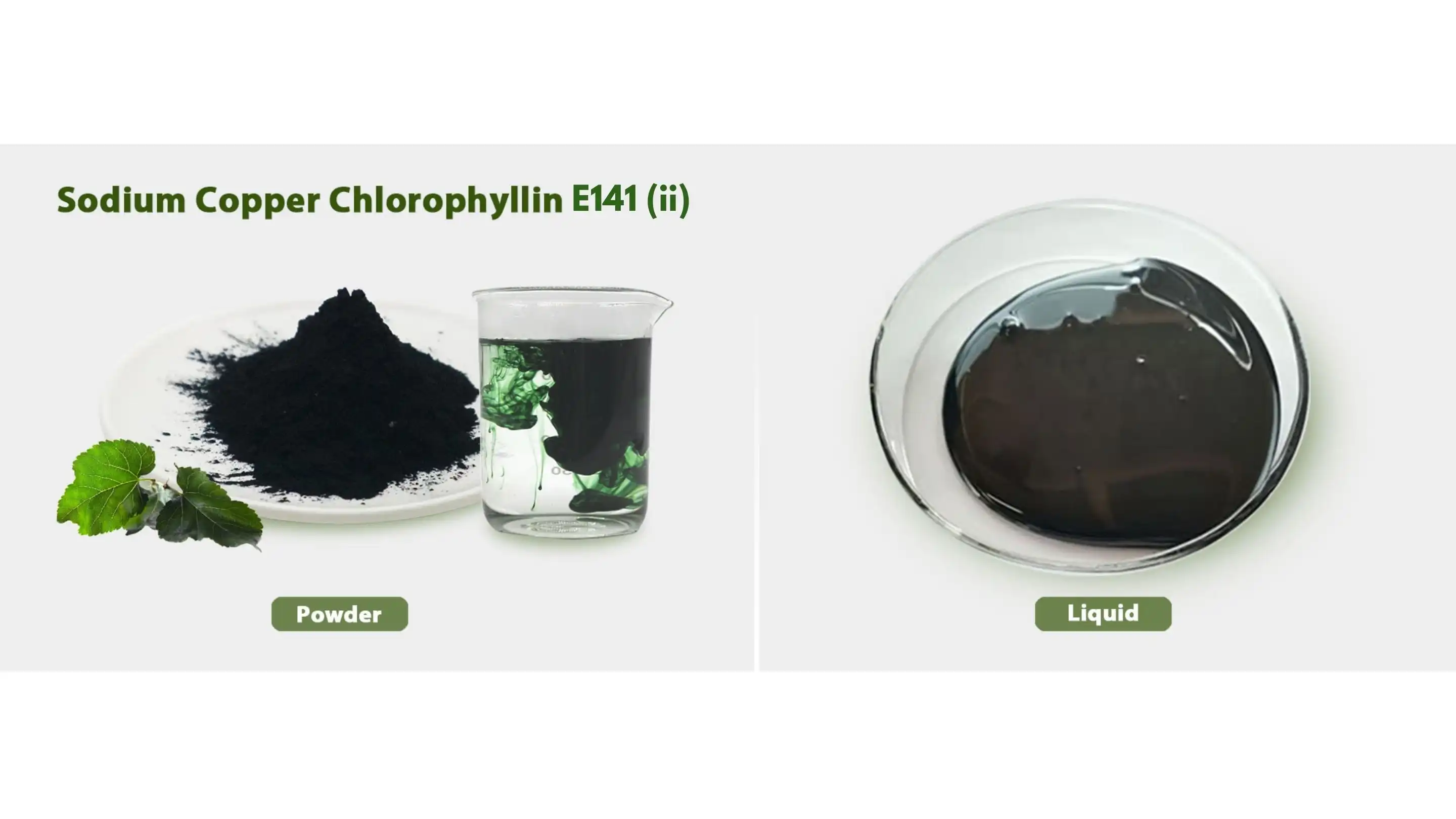 chloropyll.jpg