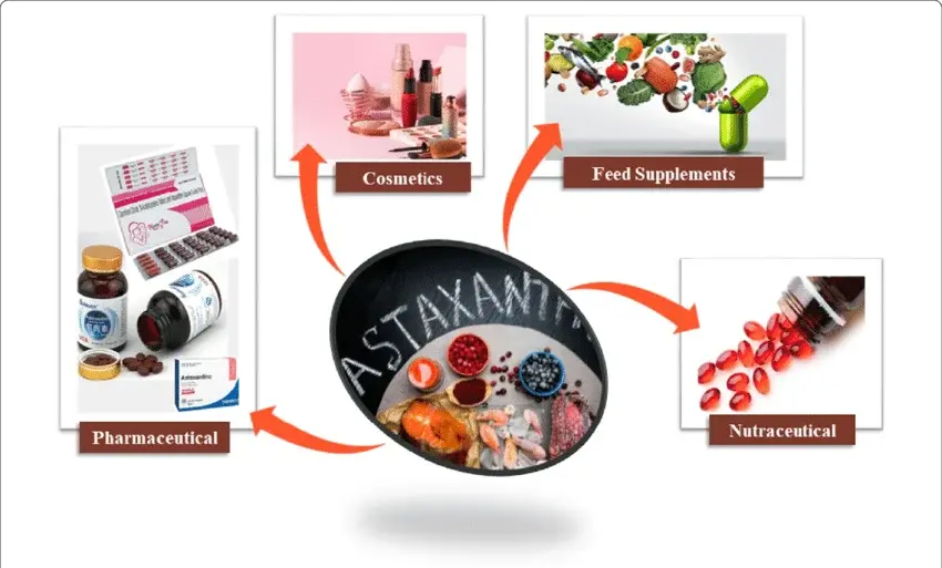 Astaxanthin-applications-in-various-industries.webp Astaxanthin-applications-in-various-industries.webp