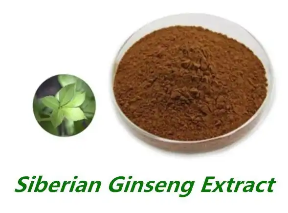 Üzvi Sibir Ginseng Ekstraktı Təchizatçı