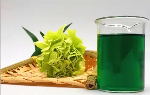 Green Form: Powder Copper Chlorophyll Natural Food Colour at best price in  Nagpur