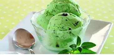 ChlorophyllChlorophyll Colour Manufacturer in India