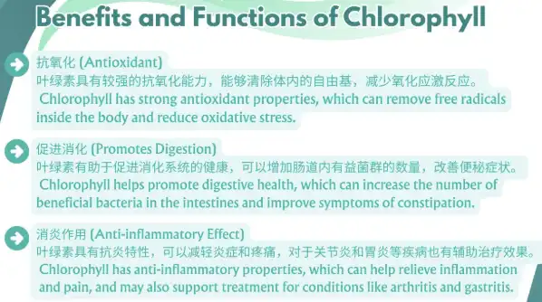 Benefits and Functions Benefits and Functions