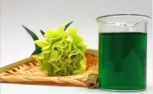 Green Form: Powder Copper Chlorophyll Natural Food Colour at best price in  Nagpur