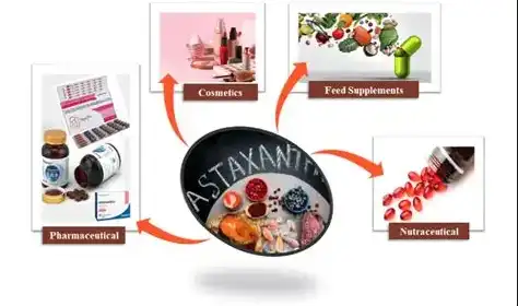 Astaxanthin applications in various industries | Download Scientific Diagram Astaxanthin applications in various industries | Download Scientific Diagram