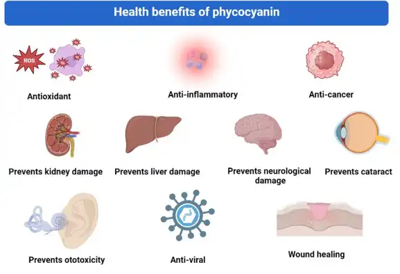 Phycocyanin a nutraceutical with antioxidant activity - ScienceDirect Phycocyanin a nutraceutical with antioxidant activity - ScienceDirect