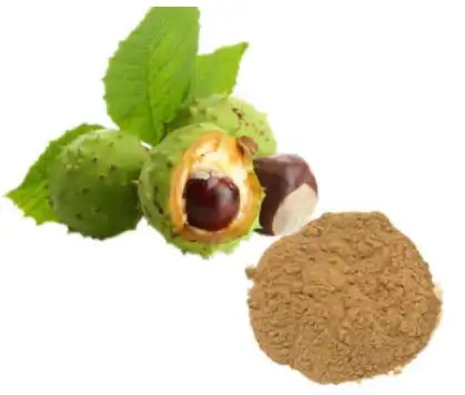 Horse Chestnut Extract - Longer Stamina & Performance | eBay Horse Chestnut Extract - Longer Stamina & Performance | eBay