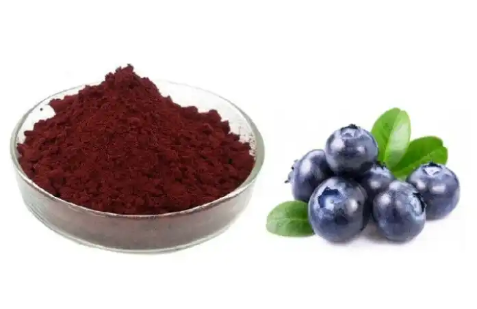 Blueberry Fruit Powder Blueberry Fruit Powder