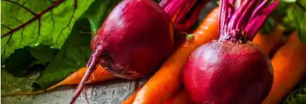 beetroot beetroot
