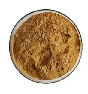 Best Quality Organic Kombucha Drinks - Wholesale Supplier Best Quality Organic Kombucha Drinks - Wholesale Supplier