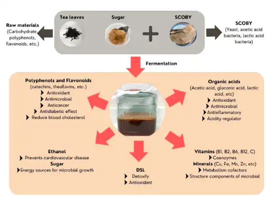 Kombucha Healthy Drink—Recent Advances in Production, Chemical Composition and Health Benefits Kombucha Healthy Drink—Recent Advances in Production, Chemical Composition and Health Benefits