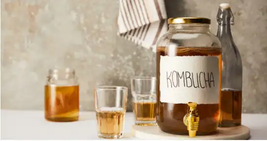 How Often Should You Drink Kombucha & How Much Kombucha Should I Drink Every Day? - Cultures For Health How Often Should You Drink Kombucha & How Much Kombucha Should I Drink Every Day? - Cultures For Health