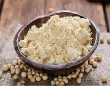 Vegan Protein powder, Packaging Size: 20 Kg, Non prescription at Rs 275/kg in Indore Vegan Protein powder, Packaging Size: 20 Kg, Non prescription at Rs 275/kg in Indore