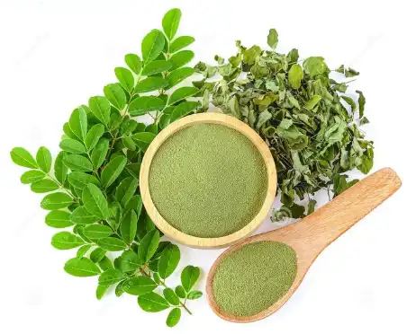 Organic Dried Moringa Leaves / Powder 100g Energy Booster & HEALTHY HERBAL SUPPLEMENTS - Etsy | Moringa powder, Moringa leaf powder, Moringa benefits Organic Dried Moringa Leaves / Powder 100g Energy Booster & HEALTHY HERBAL SUPPLEMENTS - Etsy | Moringa powder, Moringa leaf powder, Moringa benefits