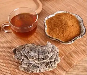 100-200g 50:1-Turkey-Tail-Mushroom Extract Powder Turkey-Tail-Mushroom Coriolus Versicolor Kosher&HALAL certificated | Shopee Philippines 100-200g 50:1-Turkey-Tail-Mushroom Extract Powder Turkey-Tail-Mushroom Coriolus Versicolor Kosher&HALAL certificated | Shopee Philippines