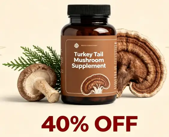 Finding The Best Turkey Tail Mushroom Supplement: A Buying, 40% OFF Finding The Best Turkey Tail Mushroom Supplement: A Buying, 40% OFF