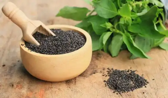 Chia Seed Powder Chia Seed Powder