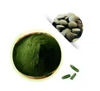 Versatile organic chlorella powder in bulk for use in Various Products -  Alibaba.com