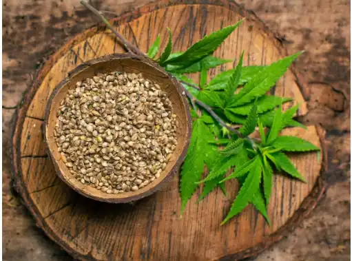 Hemp Protein Powder: Ways This Supplement Can Boost Your, 44% OFF Hemp Protein Powder: Ways This Supplement Can Boost Your, 44% OFF