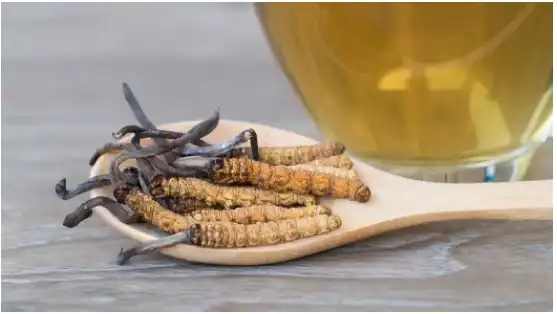 6 Benefits of Cordyceps, All Backed by Science