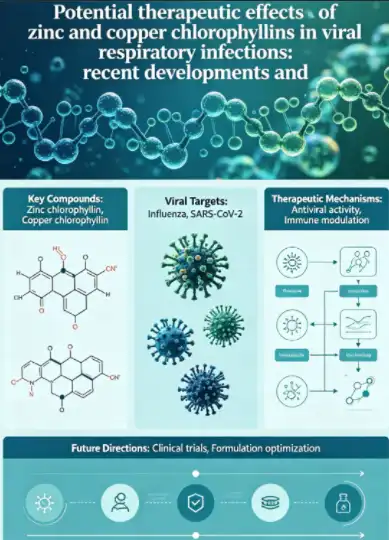 Full article: Potential therapeutic effects of zinc and copper chlorophyllins in viral respiratory infections: recent developments and future directions Full article: Potential therapeutic effects of zinc and copper chlorophyllins in viral respiratory infections: recent developments and future directions