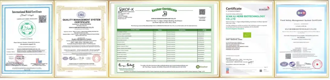 Chlorophyll Powder Chlorophyll Powder