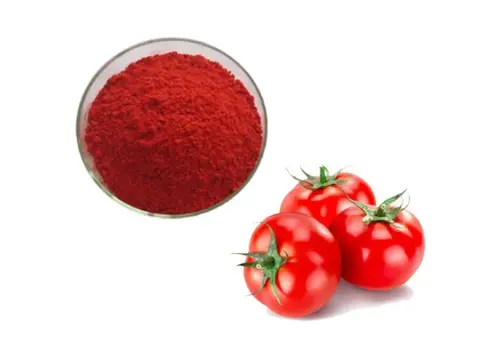 Lycopene Extracts Powder at Rs 6500/kg | लाइकोपीन एक्सट्रेक्ट in Indore | ID: 16222778733 Lycopene Extracts Powder at Rs 6500/kg | लाइकोपीन एक्सट्रेक्ट in Indore | ID: 16222778733
