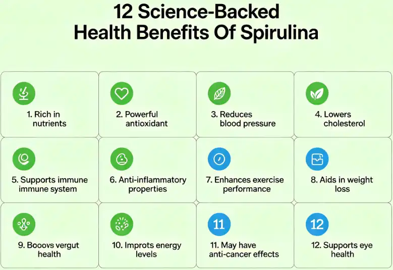 12 Science-Backed Health Benefits Of Spirulina – Forbes Health 12 Science-Backed Health Benefits Of Spirulina – Forbes Health