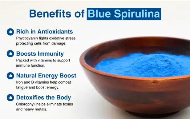 Amazon.com: Naturejam Organic Blue Spirulina Powder 1 Pound Bulk-Premium Culinary Grade for Smoothies : Health & Household Amazon.com: Naturejam Organic Blue Spirulina Powder 1 Pound Bulk-Premium Culinary Grade for Smoothies : Health & Household