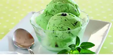 ChlorophyllChlorophyll Colour Manufacturer in India ChlorophyllChlorophyll Colour Manufacturer in India