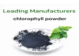 Factory Wholesale Liquid Chlorophyll Powder Supplement Sodium Copper Chlorophyllin Chlorophyll Powder for Health| Alibaba.com Factory Wholesale Liquid Chlorophyll Powder Supplement Sodium Copper Chlorophyllin Chlorophyll Powder for Health| Alibaba.com