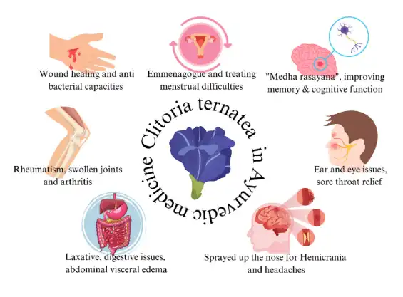 The Potential for the Implementation of Pea Flower (Clitoria ternatea) Health Properties in Food Matrix The Potential for the Implementation of Pea Flower (Clitoria ternatea) Health Properties in Food Matrix