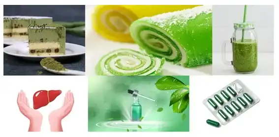 Kina Sodium Copper Chlorophyll Manufacturer Manufacturers Suppliers Factory - YanggeBiotech Kina Sodium Copper Chlorophyll Manufacturer Manufacturers Suppliers Factory - YanggeBiotech