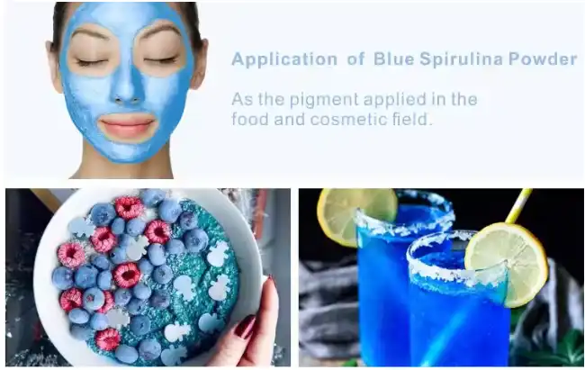 Organic Blue Spirulina Powder - Food Grade Phycocyanin E6 Organic Blue Spirulina Powder - Food Grade Phycocyanin E6