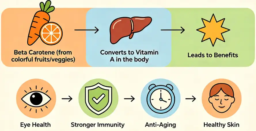 What is beta carotene? What are the benefits? What is beta carotene? What are the benefits?