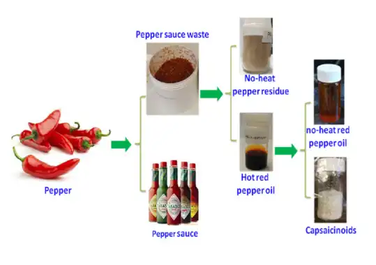 Foods | Free Full-Text | Integrated Processes Turning Pepper Sauce Waste  into Valuable By-Products