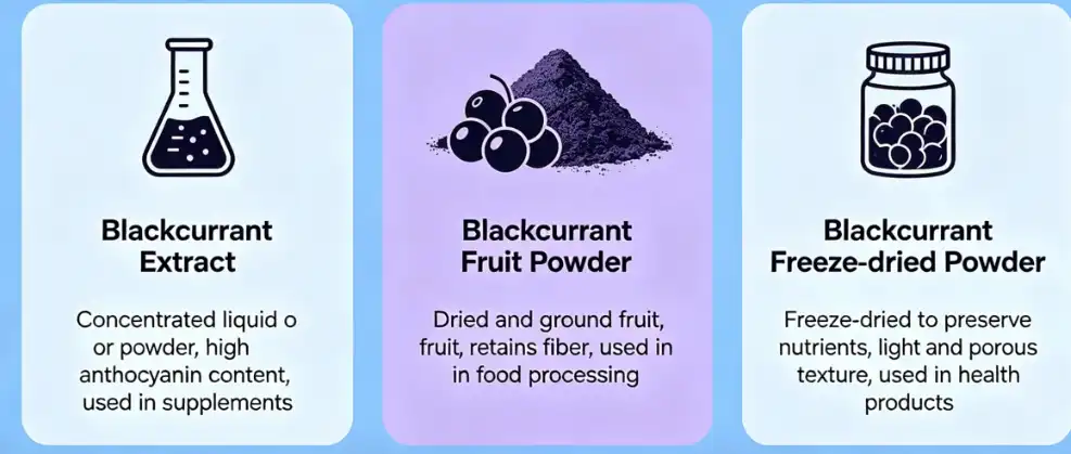Do you know the difference between blackcurrant extract, blackcurrant fruit powder and blackcurrant freeze-dried powder? Do you know the difference between blackcurrant extract, blackcurrant fruit powder and blackcurrant freeze-dried powder?