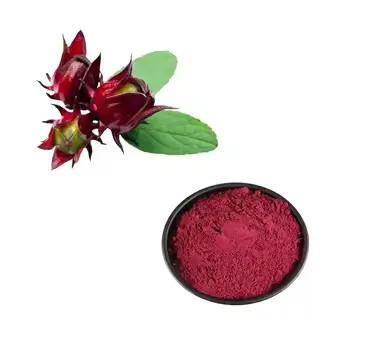 Versatile hibiscus sabdariffa roselle extract for use in Various Products -  Alibaba.com