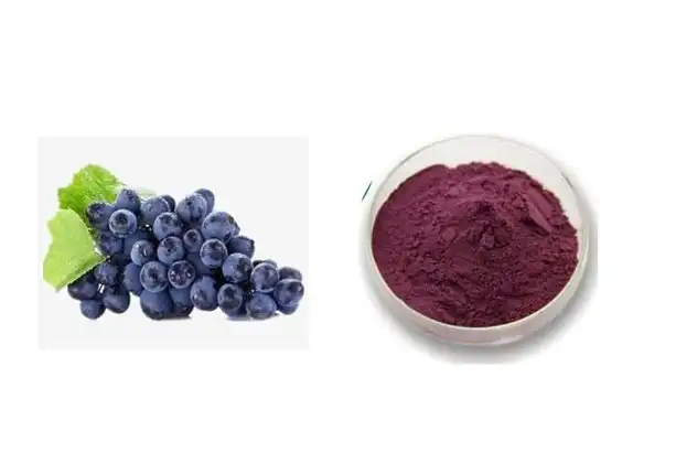 Natural Organic Anthocyanin Grape Skin Extract Powder, 40% OFF
