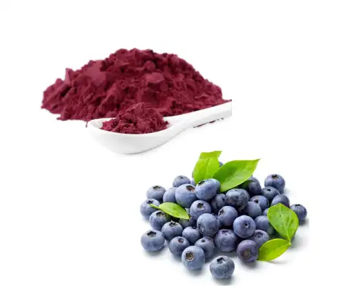 Organic Blueberry Extract Manufacturer And Blueberry Extract Supplier Organic Blueberry Extract Manufacturer And Blueberry Extract Supplier