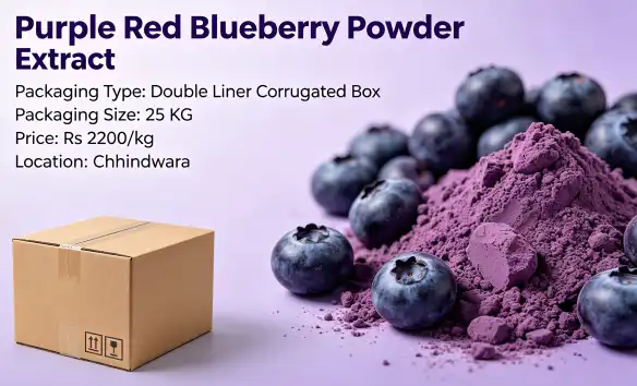 Purpule red Blueberry Powder Extract, Packaging Type: Double Liner Corrugated Box, Packaging Size: 25 KG at Rs 2200/kg in Chhindwara Purpule red Blueberry Powder Extract, Packaging Type: Double Liner Corrugated Box, Packaging Size: 25 KG at Rs 2200/kg in Chhindwara