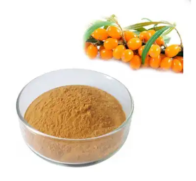 Sea Buckthorn Powder, 1 kg at Rs 880/kg in Jaipur | ID: 25858153673 Sea Buckthorn Powder, 1 kg at Rs 880/kg in Jaipur | ID: 25858153673