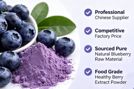 HONGDA Wholesale Organic Blueberry Juice Extract Powder Anthocyanin Blueberry Extract,C HONGDA Wholesale Organic Blueberry Juice Extract Powder Anthocyanin Blueberry Extract,C