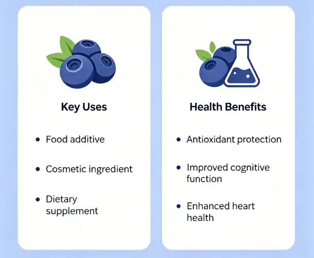Blueberry Extract Uses and Benefits – Biophenols Blueberry Extract Uses and Benefits – Biophenols