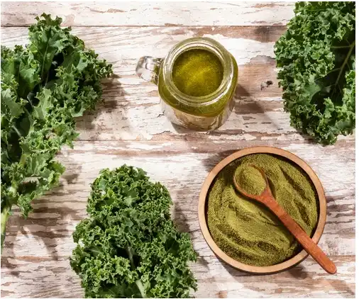 Kale Powder, 1 kg at Rs 450/kg in Pune | ID: 2851959321888 Kale Powder, 1 kg at Rs 450/kg in Pune | ID: 2851959321888