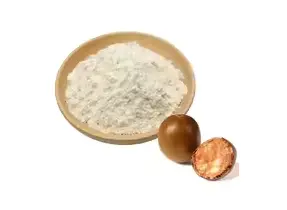 The Healing Power of Monk Fruit Extract Powder for Your Health - Alibaba.com The Healing Power of Monk Fruit Extract Powder for Your Health - Alibaba.com