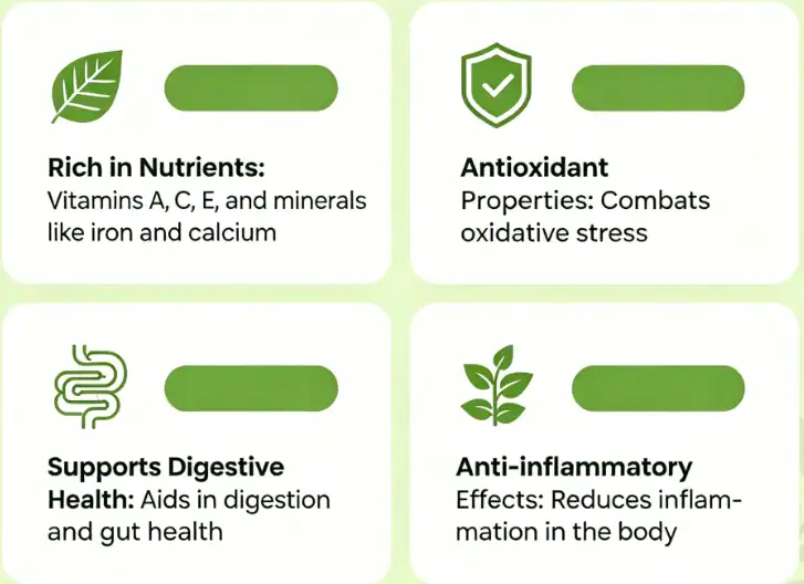 The benefits of Moringa Leaf Powder The benefits of Moringa Leaf Powder